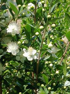 Afbeelding uit fotogalerij van Sa Costera in Orosei +37 foto's
