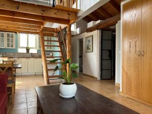 a living room with a table with a plant on it at Your Home in Mevasseret Zion in Mashabbe Sade