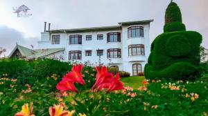 Zahrada ubytování Tea View Resort Nuwaraeliya
