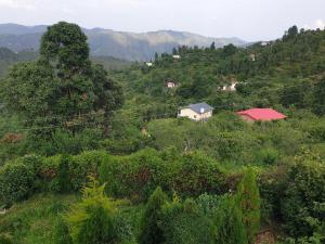 a house on top of a hill with trees at Greenwood Cottage in Mukteswar