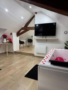 een woonkamer met een tv en een fornuis bij Le cocon du leman Un espace cosy oú vous retrouver in Publier