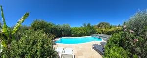 a swimming pool in a garden with chairs and trees at Cocoon Luberon in Lauris