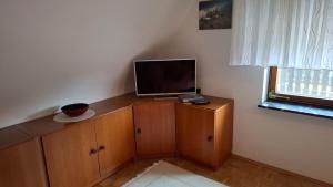 sala de estar con TV en un armario de madera en Haus am Röthel, en Lauf