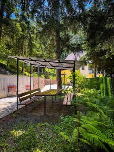 Vrt pred nastanitvijo Hotel forest echo
