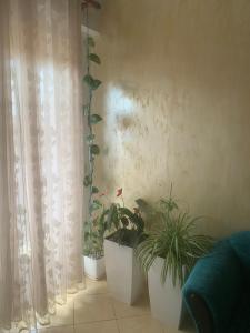 Fotografie z fotogalerie ubytování Guest House Fier v destinaci Fier