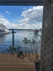 船屋周边自然景观
