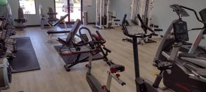 Fitness centrum a/nebo fitness zařízení v ubytování Ode to Labrador