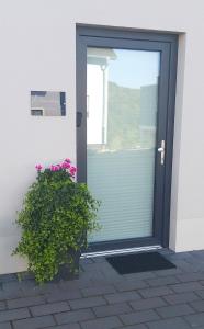 LangsurFerienwohnung am Wingertsberg的玻璃门,前面有植物