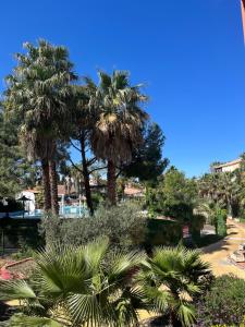 a group of palm trees in a park at Vacances détente in Canet-en-Roussillon