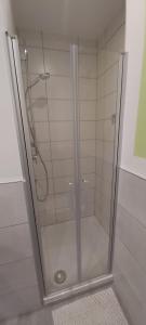 LangsurFerienwohnung am Wingertsberg的浴室里有玻璃门的淋浴间 更多27张照片