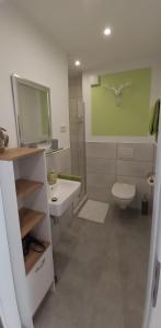 LangsurFerienwohnung am Wingertsberg的浴室配有盥洗池、卫生间和镜子。