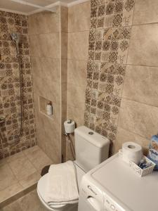 a bathroom with a toilet and a shower at Ameli House in Neoi Epivates +15 photos