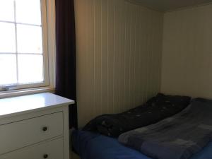 Un dormitorio con una cama y una cómoda y una ventana. en Sinesøyni in Byglandsfjord - Evje, en Bygland