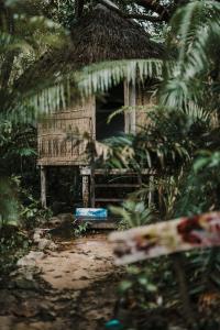 Zahrada ubytování Kactus-Your Island Sanctuary On Koh Ta Kiev