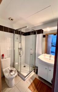 a bathroom with a shower and a toilet and a sink at CORSALILA in Calvi