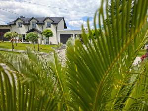 a house with a palm tree in front of it at Marcowe Kąty-Przestrzeń na wypoczynek, odpocznij w ciszy i naturze, tylko 7 minut od Sandomierza in Sandomierz