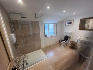 a bathroom with a shower and a toilet at The Old School House in Bristol