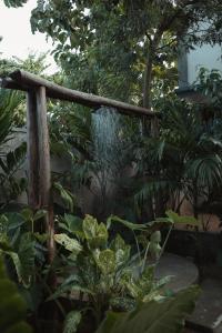 Taman di luar Koku House Arugam Bay +6 gambar