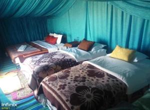 three beds in a room with blue walls at Camp Abrib merzouga in Merzouga