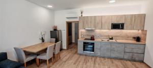 Kuchyň nebo kuchyňský kout v ubytování Nový Apartmán Na Grůsce Strážnice u Baťáku