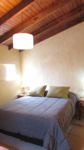 a bedroom with a large bed with a wooden ceiling at Latitud 49 Apart in El Chalten