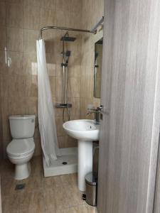アギオス・ステファノスにあるMassalia Suites Studio Galiniのトイレと洗面台付きのバスルーム