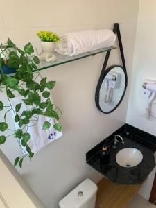 un bagno con lavandino e una pianta su una mensola di Studio 302 a 2,8 km da UFV, ar condicionado, vaga a Viçosa