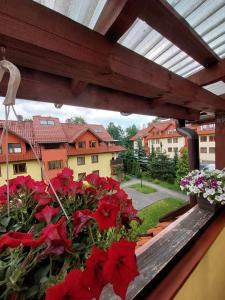 Galeriebild der Unterkunft Apartament Słoneczna Skarpa in Rabka-Zdrój