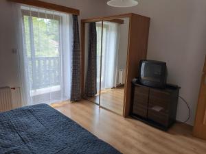 a bedroom with a bed and a tv and a mirror at Rekreační dům in Dobříš