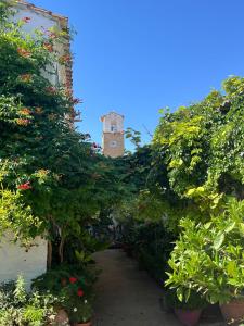 ein Garten mit einem Uhrturm im Hintergrund in der Unterkunft Casa Rural El Patio in Valmuel