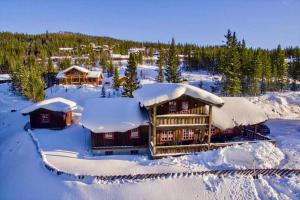 a building covered in snow with trees and trees at Large cabin at Nesfjellet with lovely view, inddor Jacuzzi & sauna in Nes i Ådal