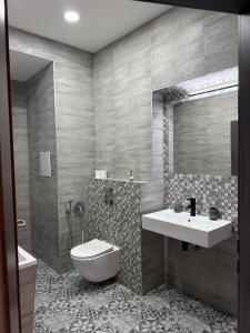 a bathroom with a sink and a toilet at Karlovy Vary Cute in Karlovy Vary