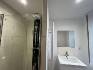 a bathroom with a sink and a shower at Gîte du Roc 2 in Les Portes du Coglais