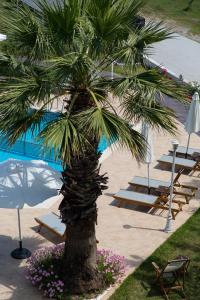 Bazén v ubytování Anais Hotel nebo v jeho okolí