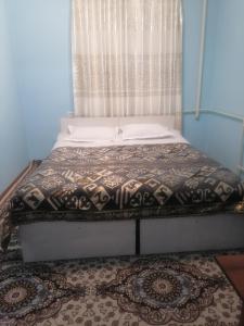 卡拉科尔Гостевой дом АЛТЫН - БУЛАК的相册照片