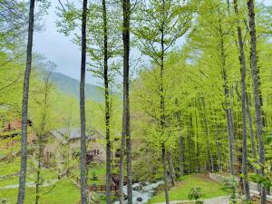 Příroda nedaleko prázdninového domu