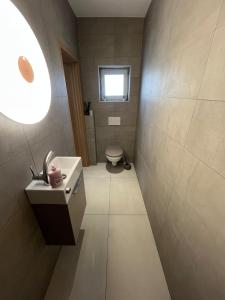 a bathroom with a sink and a toilet in it at Cozy loft 1 rdc in Talange +13 photos