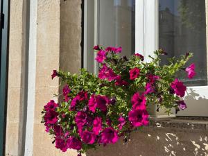 un vaso di fiori rosa sul davanzale di una finestra di Volta Meraviglia a Martina Franca