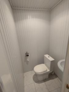 セヴァンにあるSevan Family Houseのトイレと洗面台のある白いバスルーム