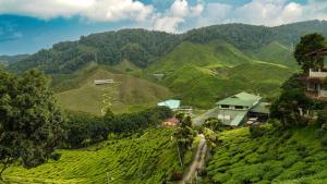 金马仑高原Palas Horizon Resident 3BR near Kea Farm Market, Cameron Highland的一个山上的村庄，有茶园