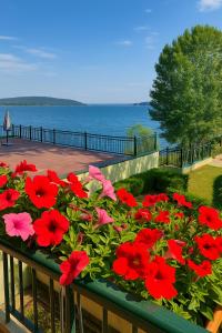 Φωτογραφία από το άλμπουμ του Scarlet Flower - Lago Maggiore σε Meina