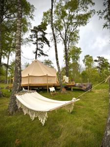 a hammock in front of a tent in a field at Glamping med alpackor in Laholm +32 photos