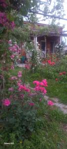 Galeriebild der Unterkunft Cottage and Gigo Papa's Wine Cellar in Qwareli + 64 Fotos