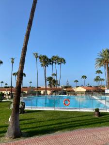 Πισίνα στο ή κοντά στο Sunny Haven in Playa del Inglés +5 φωτογραφίες