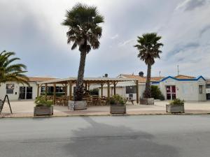 a group of palm trees in front of a building at Mobil home camping les Charmettes 4 étoiles les MATHES en Charente Maritime prés du ZOO de la Palmyre 8 personnes tout confort 3 chambres 2salles de bains 2 WC Lave linge lave vaisselle Climatisation bien situé in Les Mathes