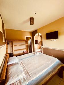 a bedroom with a large bed and a flat screen tv at Ondas do Mar in Taíba