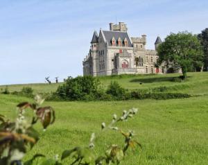 an old castle on top of a green field at Appartement Aldapa in Urrugne