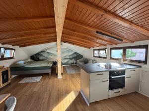 Gutach im BreisgauBleibach Chalet的小房子里的厨房和客厅