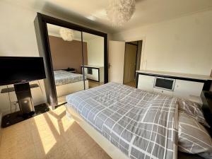 シャランにあるGrand Appartement Cosy Et Terrasseのベッドと薄型テレビのある寝室