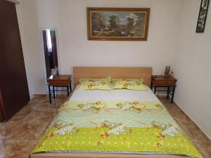 a bedroom with a bed with a green comforter at Alikes Apartment in Drosia +10 photos